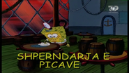 S1E5a - "Shpërndarja e picave"