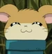 ぬけないくん (とっとこハム太郎)