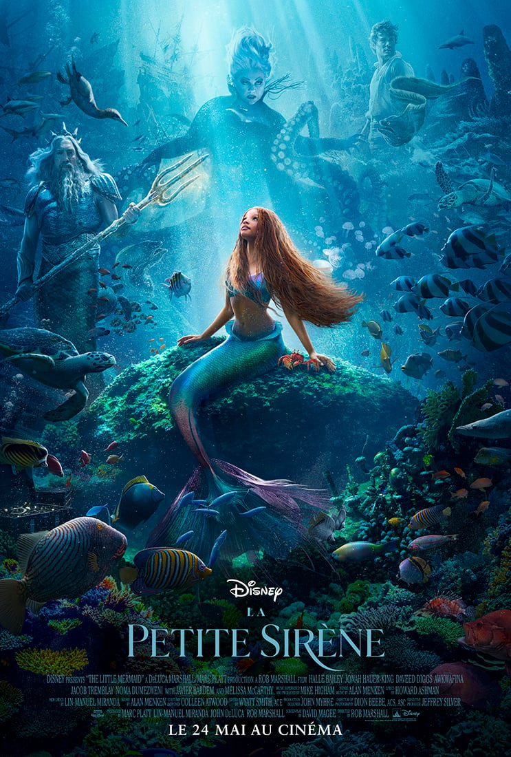 https://static.wikia.nocookie.net/international-entertainment-project/images/4/44/The_Little_Mermaid_%282023%29_-_poster_%28French%29.jpg/revision/latest?cb=20230708054917