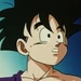 孫悟飯 (ドラゴンボールＺ) - teen