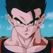 孫悟飯 (ドラゴンボールＺ) - older