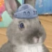 Ollie (Wonder Pets!)