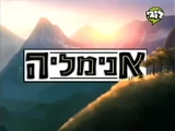 אנימליה