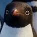 Lombardo (Happy Feet Two)