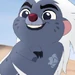 Bunga (The Lion Guard)