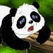 Baby Panda (Go, Diego, Go!)