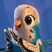 Budgies (SuperKitties)