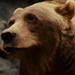 Jerome (Zookeeper)