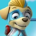 Tuck (PAW Patrol)
