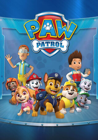 Paw patrol tv set hotsell