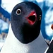Carmen (Happy Feet Two)