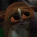 Mort (Madagascar, 2005)