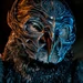 Metal Beak (Legend of the Guardians The Owls of Ga'Hoole)