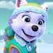Everest (PAW Patrol)