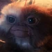 Gizmo (Gremlins)