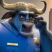 Chief Bogo (Zootopia)