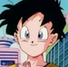 ビーデル (ドラゴンボールZ 復活のフュージョン！！悟空とベジータ)