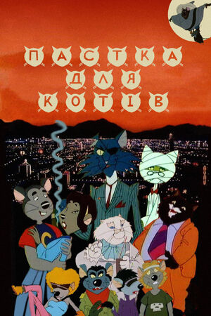 Cat city online sales