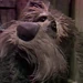 Sprocket (Fraggle Rock)