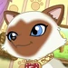 Ami (Cuccioli Cerca Amici)