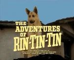 RinTinTinLogo