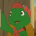 Franklin Turtle (Franklin)
