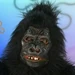 The Gorilla (SpongeBob SquarePants)