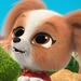 Mr. Puppypaws (SuperKitties)