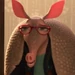 Mrs. Dharma Armadillo (Zootopia)