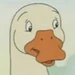 Duck (Franklin)