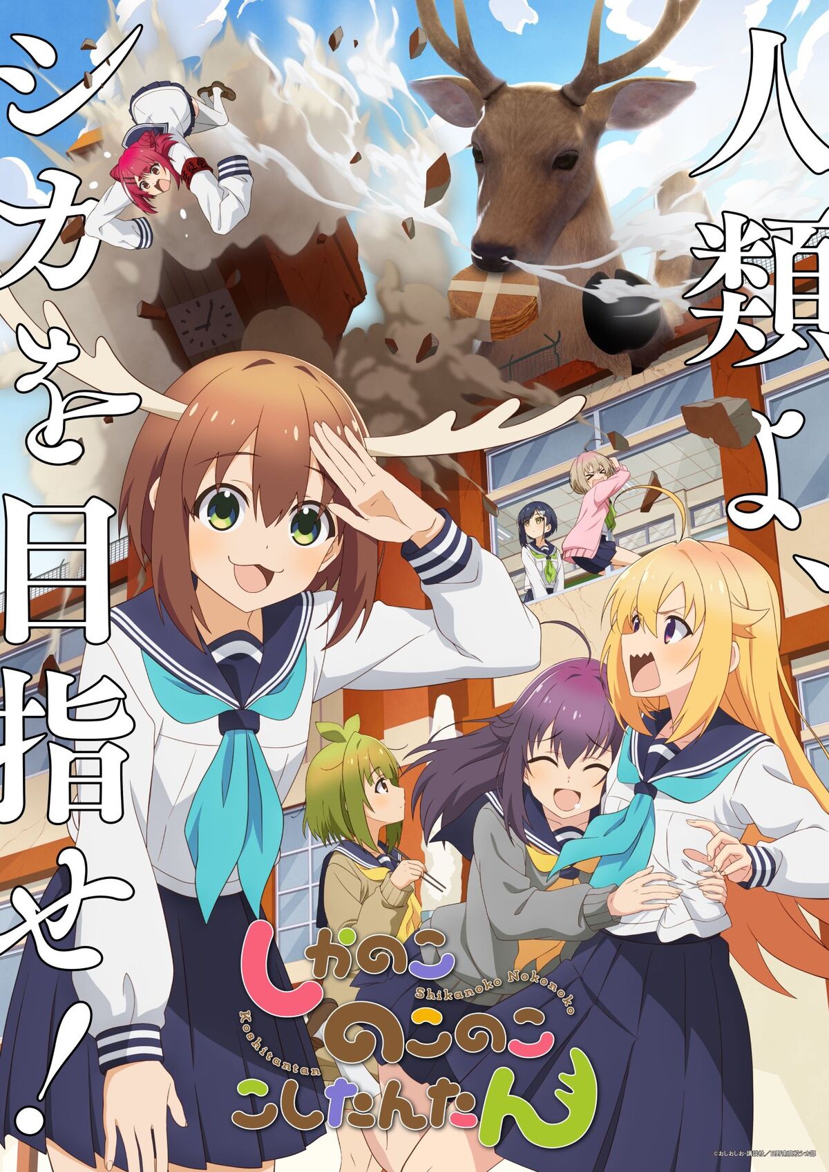 しかのこのこのここしたんたん　ドンキ　セット TVアニメ『しかのこのこのここしたんたん』×ドン・キホーテ 限定