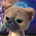 Boomer (SuperKitties)