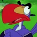 Zazu (Timon & Pumbaa)