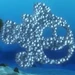 Moonfish (Finding Nemo)