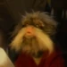 Tamarin (Wicked)
