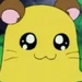 ちび丸ちゃん (とっとこハム太郎)