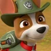 Tracker (PAW Patrol)