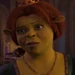 Princess Fiona (Shrek 2)