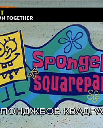 Spondzh Bob Kvadratni Gashi International Entertainment Project Wikia Fandom