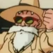 亀仙人 (ドラゴンボールZ 極限バトル！！三大超サイヤ人)