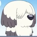Sheepdog 2 (Bluey)