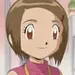 八神 ヒカリ (デジモンアドベンチャー 02).png