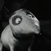 Sparky 1 (Frankenweenie, 2012)