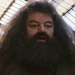 Hagrid (Harry Potter and the Philosophers Stone)