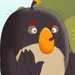 Bomb (Angry Birds Summer Madness)