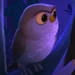 Owl (Wish)