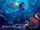 Alla ricerca di Dory