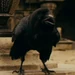 Spike (Zookeeper)