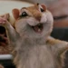 Pip (Enchanted)