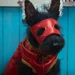 Haggis, Super (Super PupZ)